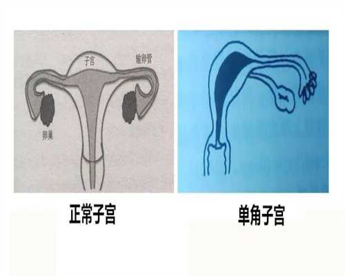 现在广州有做供卵试管的吗，广州做试管婴儿哪家_广州做试管婴儿供卵违法吗