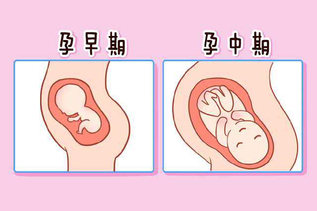 广州供(借)卵试管婴儿最好的私立医院排名参考
