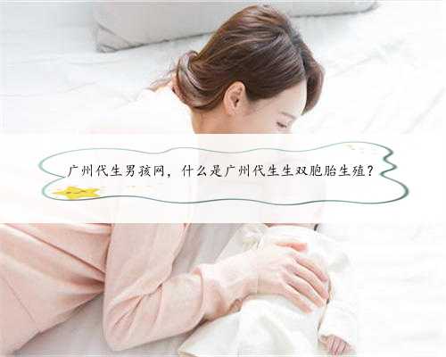 广州代生男孩网，什么是广州代生生双胞胎生殖？