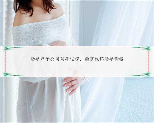 助孕产子公司助孕过程，南京代怀助孕价格