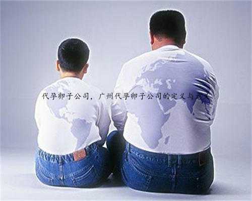 代孕卵子公司，广州代孕卵子公司的定义与意义