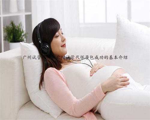 广州试管代怀，广州试管代怀孕包成功的基本介绍