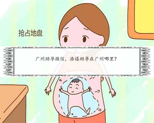 广州助孕微信，添禧助孕在广州哪里？