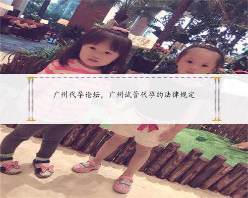 广州代孕论坛，广州试管代孕的法律规定