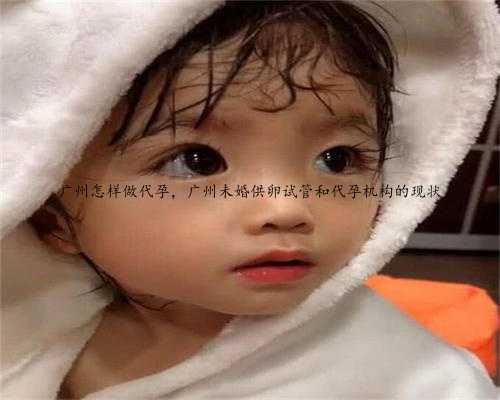 广州怎样做代孕，广州未婚供卵试管和代孕机构的现状