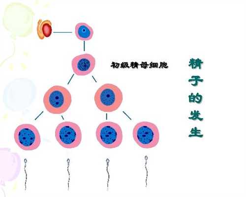 广州做试管婴儿的过程和步骤_广州哪里有代孕机