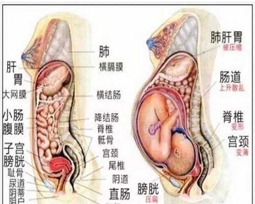 广州高鹰助孕正规助孕包成功代孕价格,大龄代孕