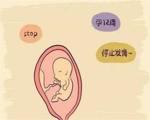 广州公立试管代怀孕价格表广州试管婴儿吃什么