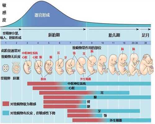 广州代孕价格一般要多少_广州房事后清洁莫陷过