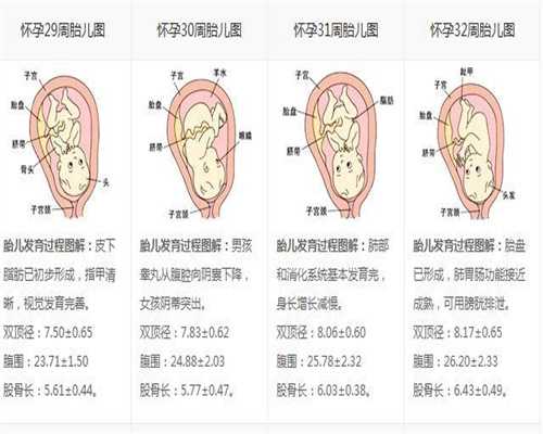 广州最可靠试管代怀孕,广州中国试管婴儿排名试