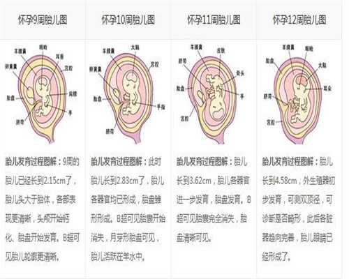 广州最可靠试管代怀孕,广州中国试管婴儿排名试