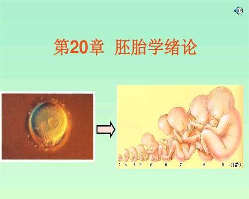 广州高鹰助孕安徽代招怀孕代孕价格表,代怀孕前