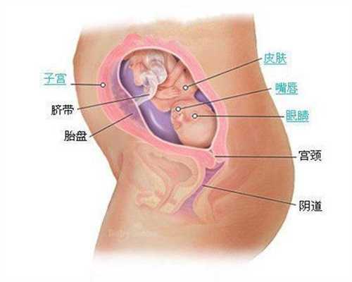 广州高鹰助孕广州世纪招代妈代孕价格,爱的环境