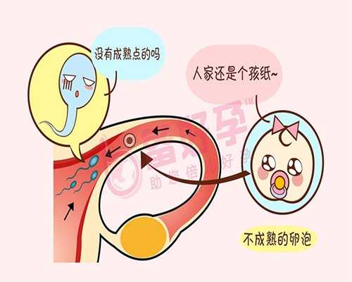 广州做试管婴儿最多几次成功_广州广州合法供卵