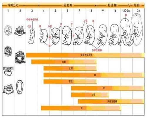 广州找女人代生孩子—哺乳期乳头内陷怎么办