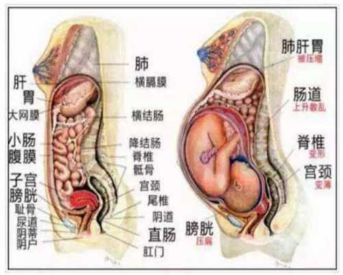 广州做试管婴儿的成功率多少_广州有没有女人愿