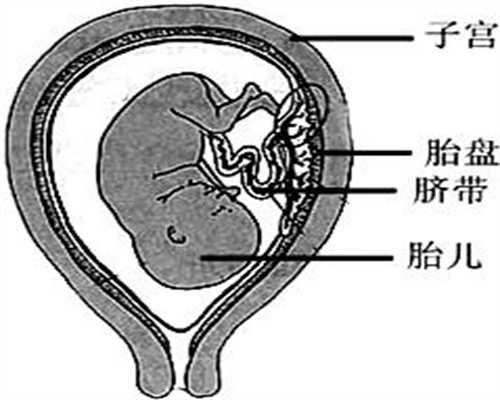 广州高鹰助孕做个试管婴儿要多少钱,多跳绳能有