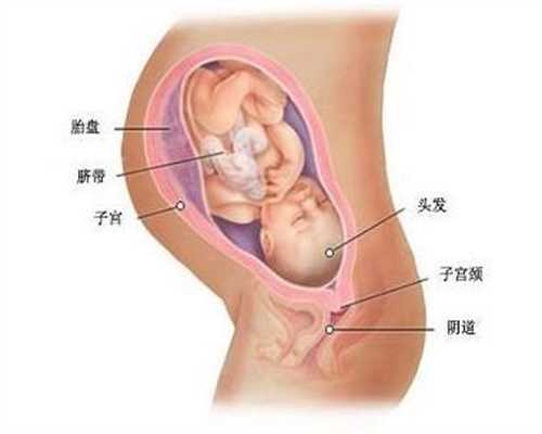 广州高鹰助孕三代试管婴儿选择性别,警惕四种胎