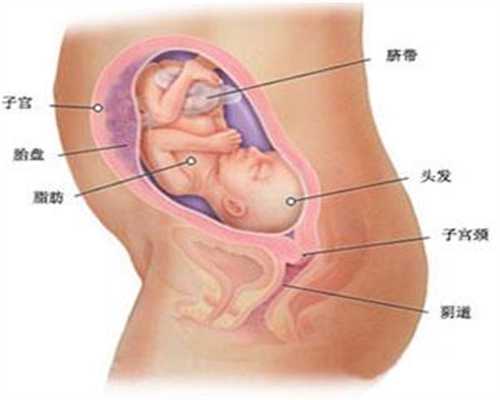 广州天之孕国际医疗—孕31周，我在日历上画圈圈
