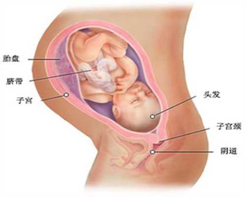广州高鹰助孕试管移植手术费多少,怀助孕代孕宝