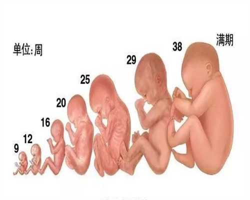 广州高鹰助孕上海世纪代怀孕助孕,怀助孕代孕宝