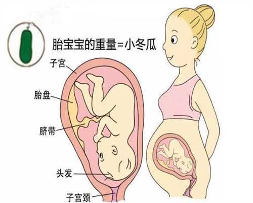 广州高鹰助孕试管婴儿遭罪吗,分娩时的3能与3不