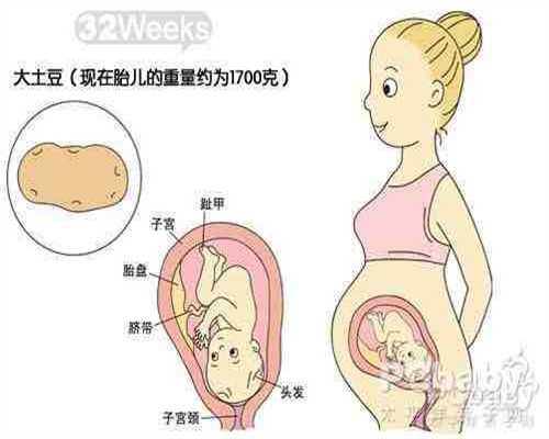 广州高鹰助孕民间最灵的助孕,夫妻必须做的8大代