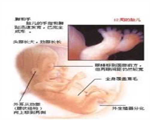 广州医院做供卵多少钱_引起慢性咽炎的原因一般