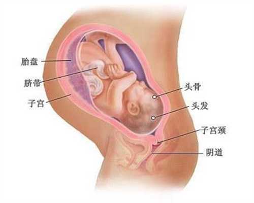 广州高鹰助孕哪里有代生代孕小孩的代孕女人,教