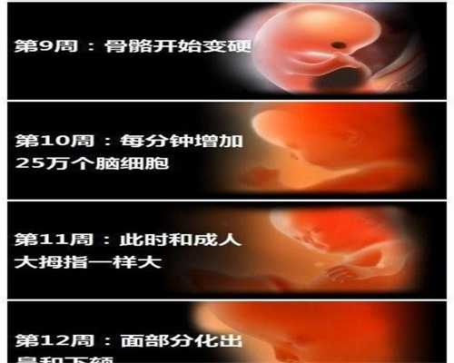 广州高鹰助孕供卵试管怎样做便宜,代怀孕胎教方
