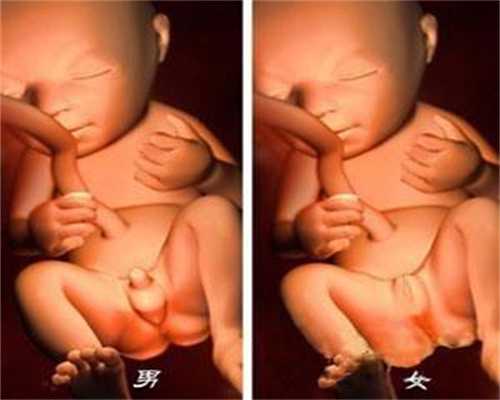 广州中国试管婴儿合法代孕-代怀孕产后头几天的