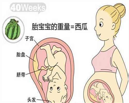 广州第三代试管婴儿选性别多少钱—孩子遇到不