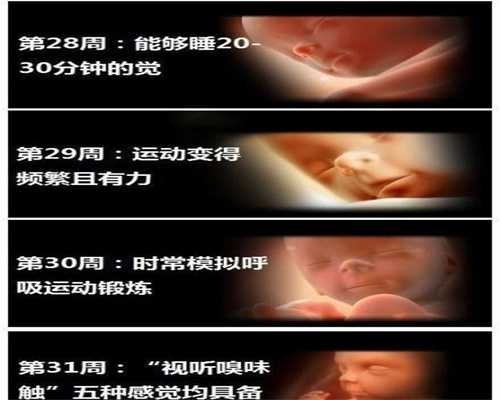 广州高鹰助孕找代孕女人代生孩子多少钱,赴港生