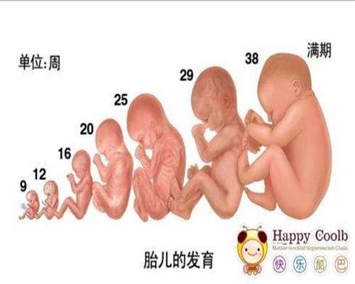 广州试管婴儿多少钱明细表,广州为啥人工授精男