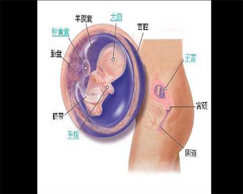 广州专业试管代怀孕包性别广州试管国产药和进