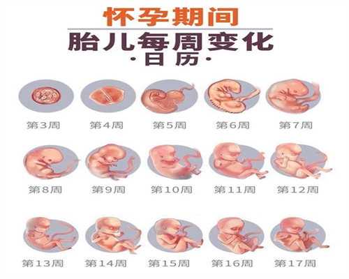 广州正规借卵试管婴儿,广州新加坡三代试管婴儿