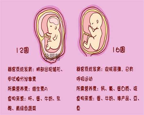 广州2020代怀孕价格表-羊水穿刺多久出结果