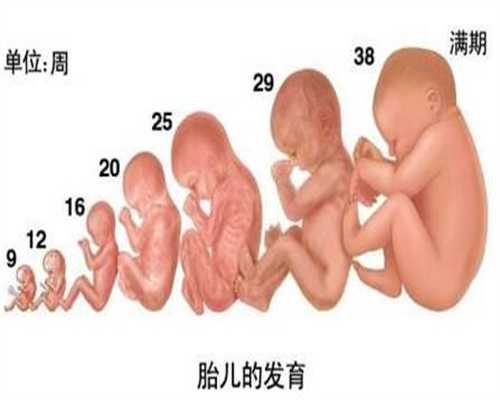 广州高鹰助孕试管一对龙凤胎多少钱,夫妻代孕前