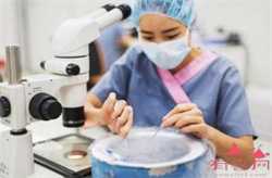 广州代孕产子价格-广州代孕检查项目-广州哪里招聘代孕妈妈性激素六项有什么