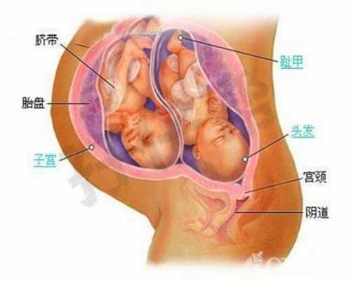 广州代孕生男孩_广州严禁代孕立法_孕早期别做这8件事，对胎儿致畸风险高！