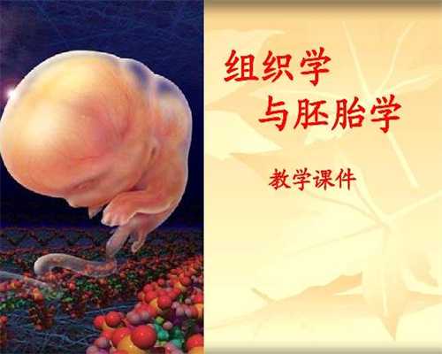 广州寻找代孕公司_广州圆梦代孕服务中心_孕产妇分娩的全过程是怎样的