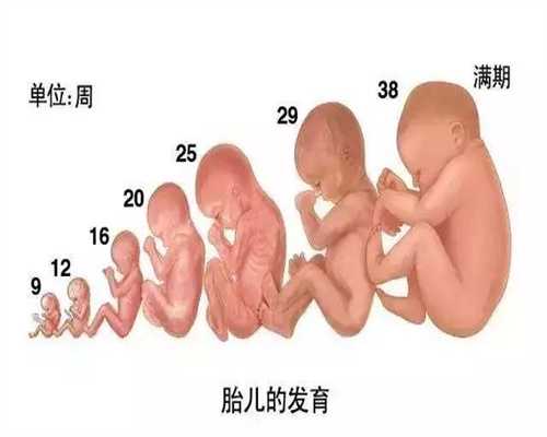 广州代孕正规吗-广州代孕是多少合适-广州找男人代替生孩子平台
