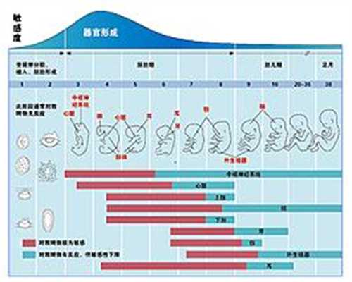 广州靠谱代孕网_广州代孕费用是多少_广州代孕一个孩子多少钱