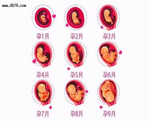 广州代孕包成功多少钱_广州做代孕的价格_广州最便宜的代孕公司