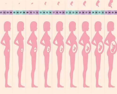 广州试管代孕-广州哪可以代孕-广州女人代孕最好年龄