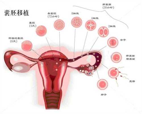 广州哪里可以做供卵试管手术_哺乳期能敷补水面膜吗