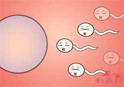 广州供卵试管婴儿最好医院，如何判断疫苗接种成功