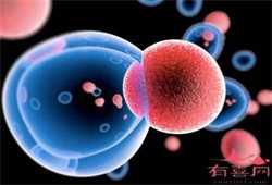 广州合法供卵医院~广州供卵试管技术~广州私人医院供卵试管，38周孕妇血压高