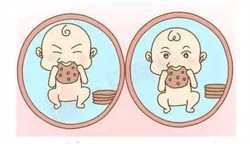 郑州借卵试管成功,郑州助孕试管婴儿安不安全从哪儿看