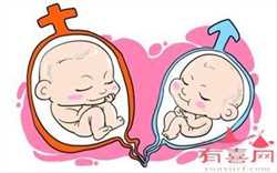 青岛最大的代孕公司，青岛圆梦试管婴儿服务有限公司